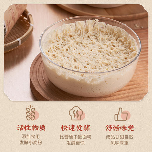 新良家宴老面风味馒头粉1kg家用中筋花卷包子非自发通用小麦麦粉 商品图3