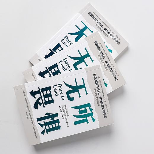 (仓发) 无所畏惧 直面脆弱与挫败 成为勇敢的领导者 布琳·布朗 著 励志书籍 职场进阶推荐阅读 中信出版社/中信出版集团/布琳·布朗/9787521733969 商品图4