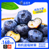蓝莓鲜果1000g 顺丰装 现摘现发 精选大果 8盒装有机蓝莓 顺丰包邮超级鲜 商品缩略图0