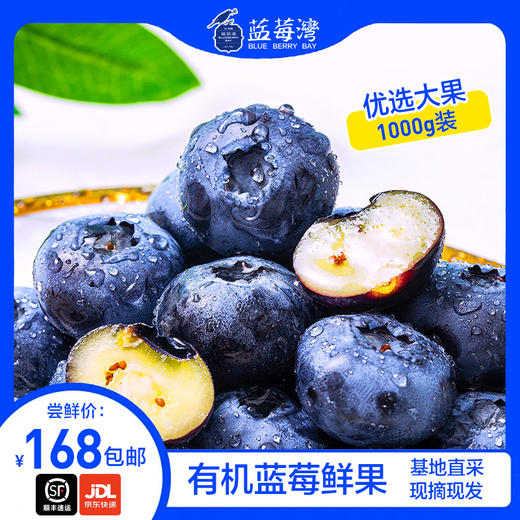 蓝莓鲜果1000g 顺丰装 现摘现发 精选大果 8盒装有机蓝莓 顺丰包邮超级鲜 商品图0