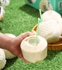泰国椰青 商品缩略图2