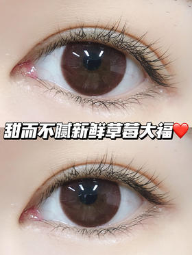 K01 草莓熊<含非离子>月抛型