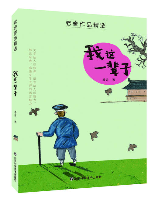 老舍作品精选（全10册）8岁+ 让孩子收益一生的畅销文学经典 商品图7