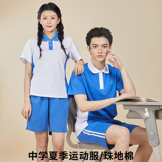 深圳罗湖外语学校高中运动服校服附校徽（罗外高中） 商品图1