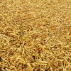 低盐干白辣椒 200g/包 商品缩略图3