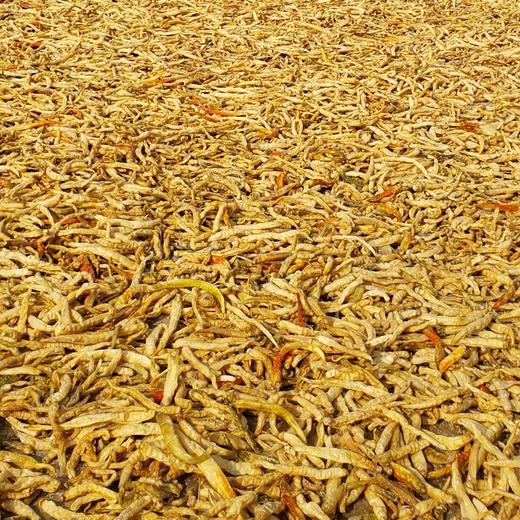 低盐干白辣椒 200g/包 商品图3