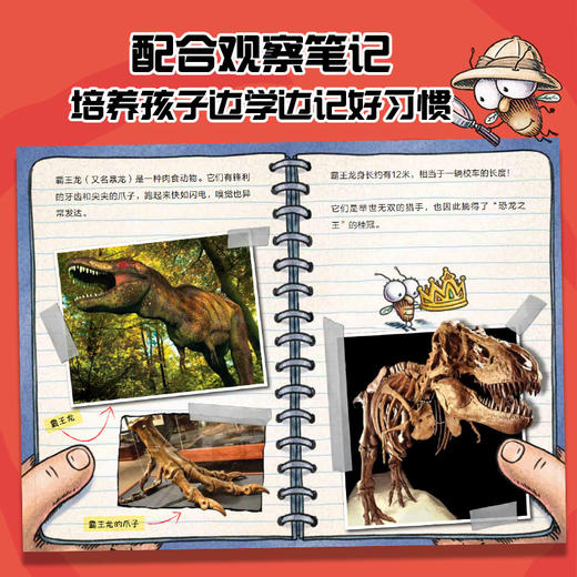 苍蝇小子爆笑桥梁书故事系列9册20册29册 商品图3