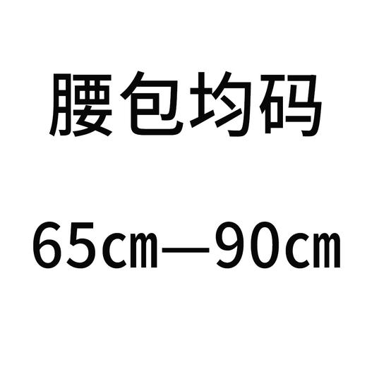 迈士通胰岛素泵包宽腰带包通配美敦力丹纳优泵捷泵福尼亚火凤凰 商品图3