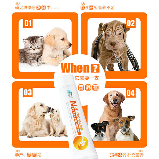 新宠之康【综合营养膏】125g-橙色 商品图3