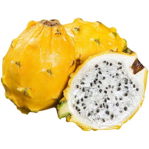 燕窝果一个 商品图0