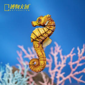 博物文创 海洋系列纸模三斑海马玩具创意节日毕业动脑礼物益智