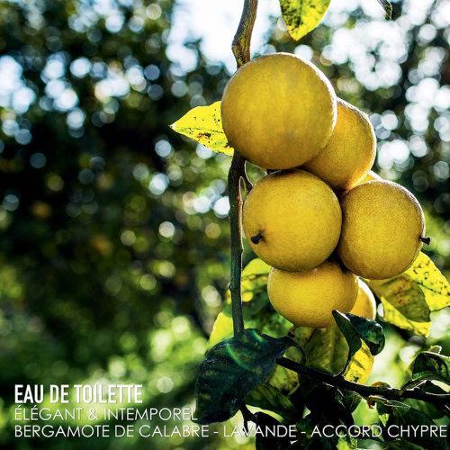 DIOR迪奥清新之水男士香水 EDT淡香水50ml/100ml/200ml 商品图2