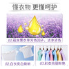 激浪薰衣草精油洗衣粉4kg（仅限门店自提） 商品缩略图2