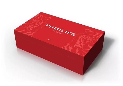 菲米生活 金桂之礼 陶瓷茶具套装 FM-TC2208 商品图8