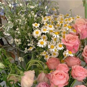 爱这东西，不是得到，就是学到