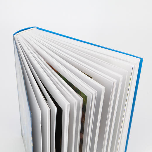 (仓发) 外国名家精读：印象主义 后印象主义/人民美术出版社/9787102067315 商品图9