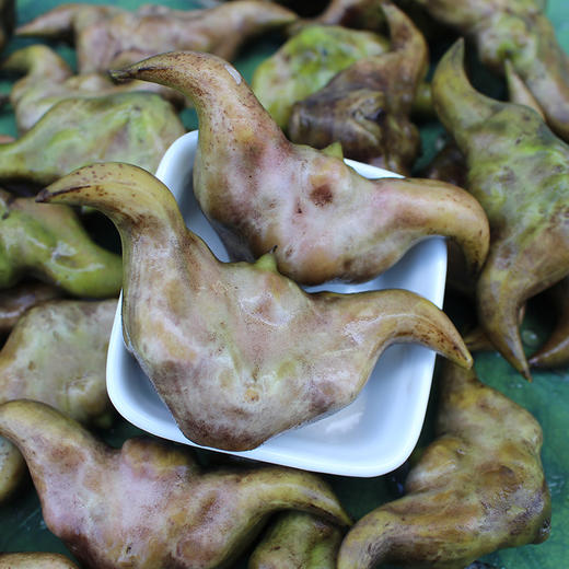 湖北洪湖新鲜青菱 老菱角3斤/5斤 商品图0