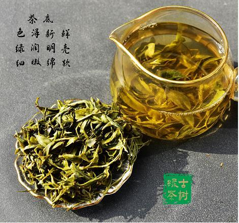 侗之源 黄土古树绿茶 240g （120g/袋  两袋装） 商品图4