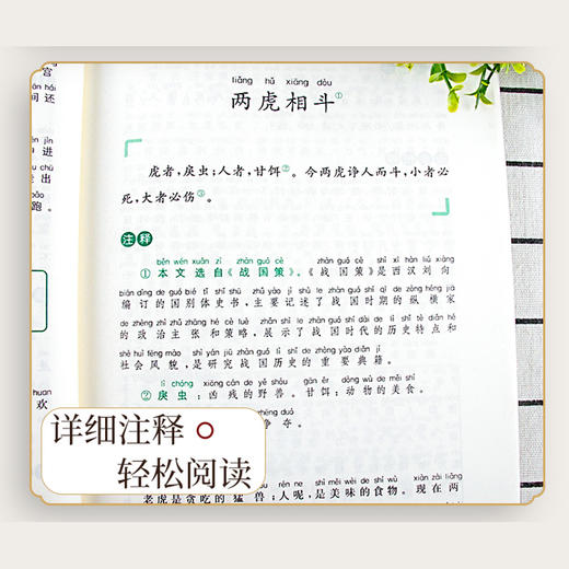 【四本任选】新版小古文观止 启蒙篇+基础篇+提高篇+衔接篇全套 小学一二三四五六年级123456年级 人教版小古文100篇 南大励学 商品图3