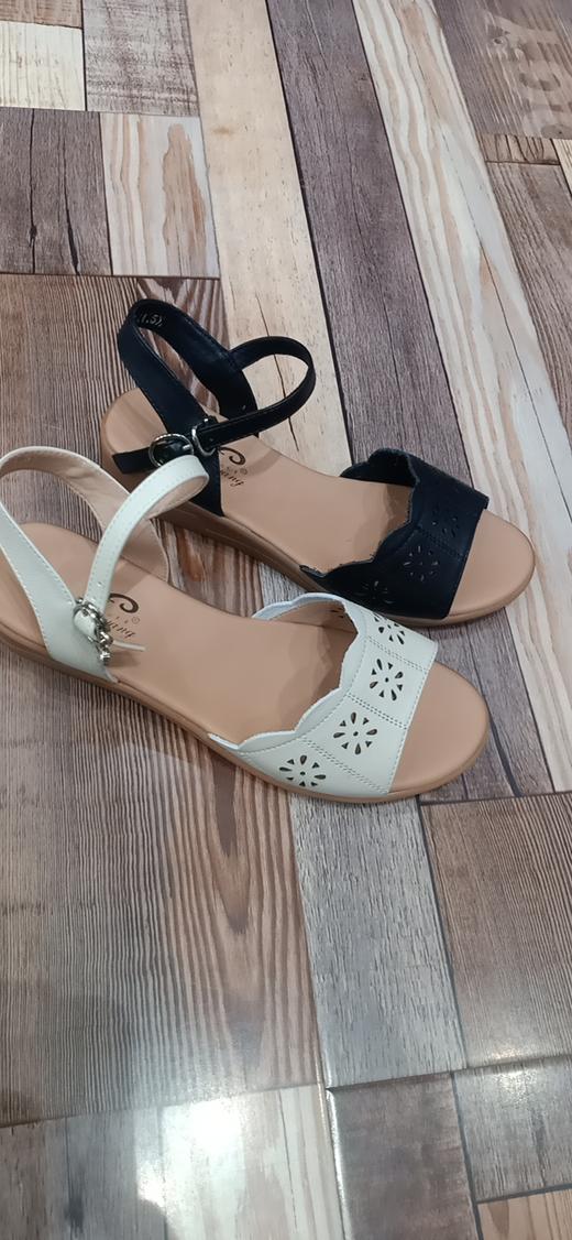 羚羊大凉59223 商品图0