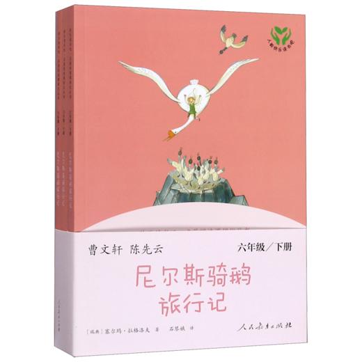 尼尔斯骑鹅旅行记(6下上中下)/快乐读书吧名著阅读课程化丛书 商品图0