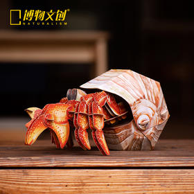 博物文创 海洋系列橙红陆寄居蟹纸模创意生日礼物动手动脑拼装玩具