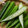 生态秋葵 | 合作生产*  Eco-Okra  | Coproducted 商品缩略图3