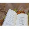 英诗精装套装 商品缩略图5