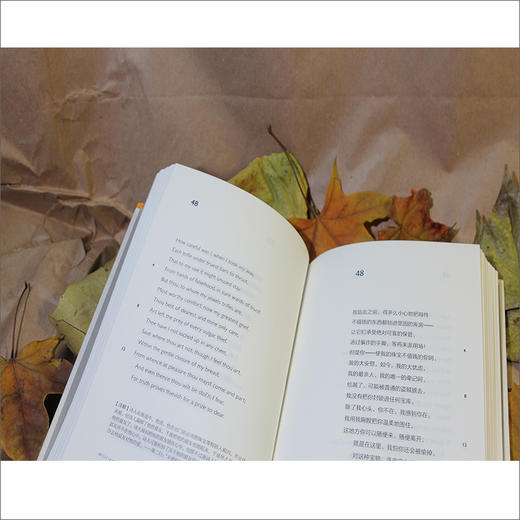 英诗精装套装 商品图5