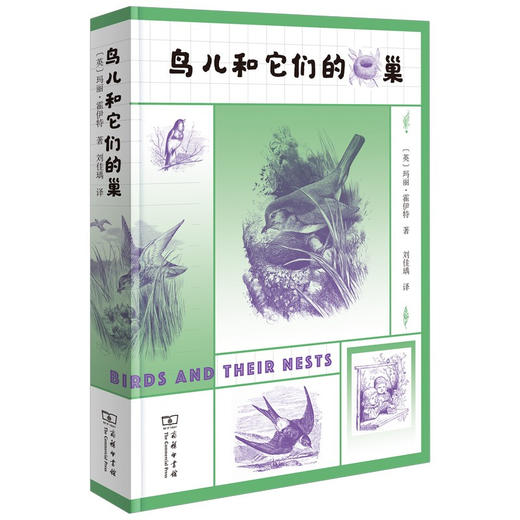鸟儿和它们的巢 玛丽·霍伊特 著 科普 商品图1