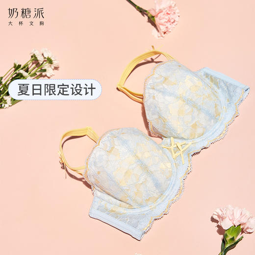 奶糖派大杯文胸珊瑚海半杯圆润饱满聚拢上托大码内衣女夏蕾丝胸罩 商品图2