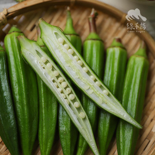 生态秋葵 | 合作生产*  Eco-Okra  | Coproducted 商品图4