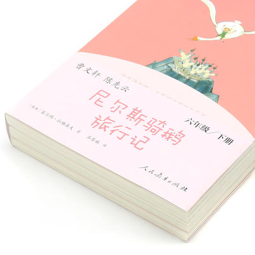 尼尔斯骑鹅旅行记(6下上中下)/快乐读书吧名著阅读课程化丛书 商品图2