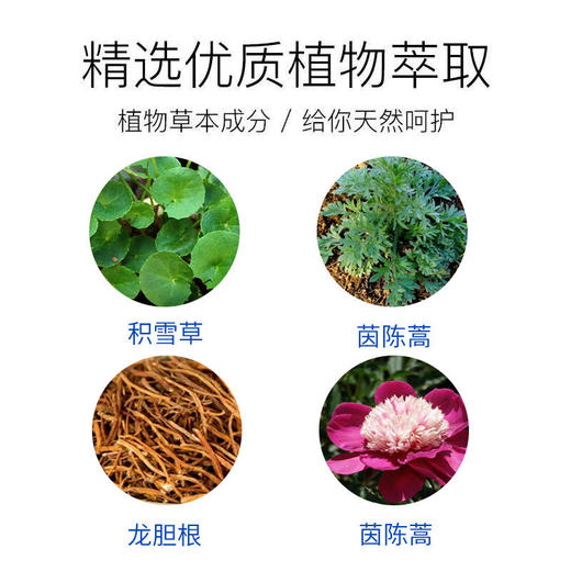 中英联名研发MVO湿疹膏华熙生物玻尿酸成分成人热痒皮肤瘙痒皮炎无ji素医用冷敷理疗止痒凝胶 商品图1