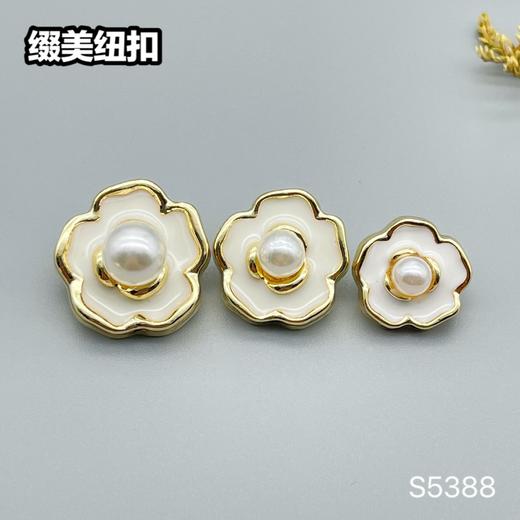 S5388(整包购买) 商品图4