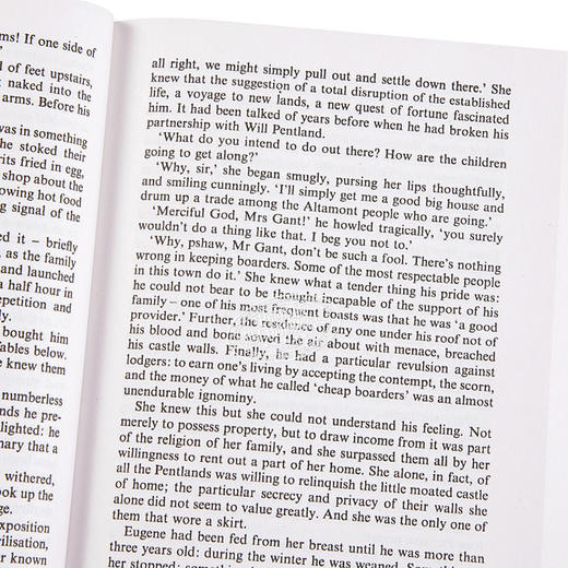 预售 【中商原版】天使，望故乡 英文原版 (PMC)Look Homeward, Angel Thomas Wolfe 商品图3