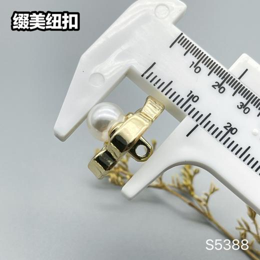 S5388(整包购买) 商品图6