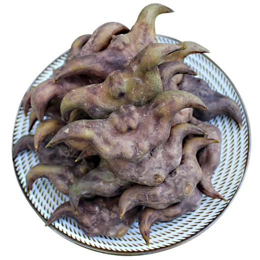 湖北洪湖新鲜青菱 老菱角3斤/5斤 商品图8