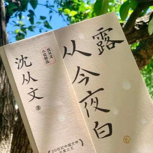 《生活不必慌慌张张》典藏版 ，沈从文诞辰120周年纪念版，一次性收录所有至美之作 商品图7