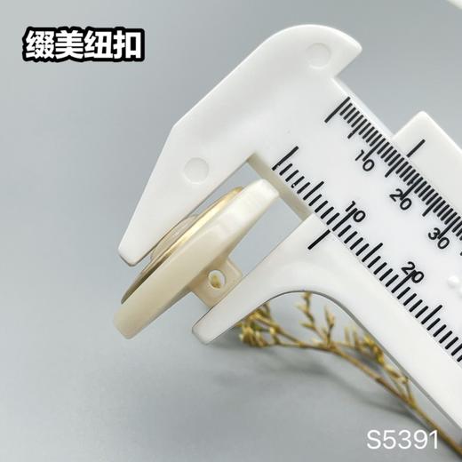 S5391(整包购买) 商品图6