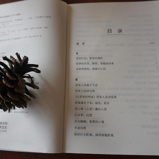 汉英词语400例 商品图3