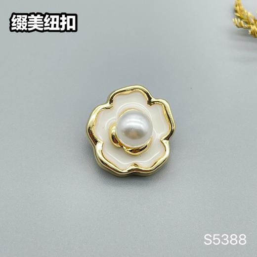 S5388(整包购买) 商品图1