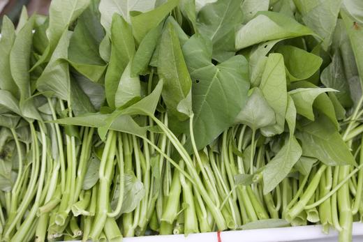 空心菜（400g） 商品图2