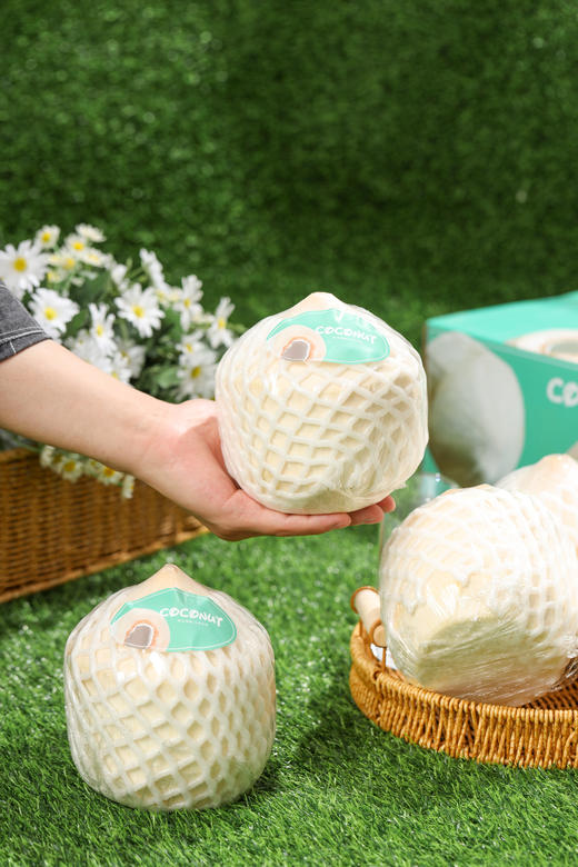 泰国椰青 商品图5