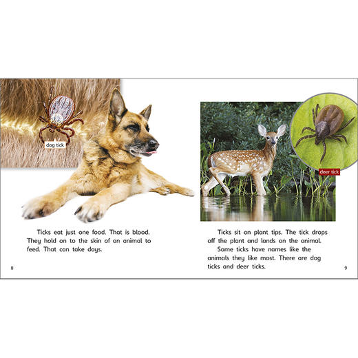 美国国家地理学习英语分级读物(第四级) 商品图2