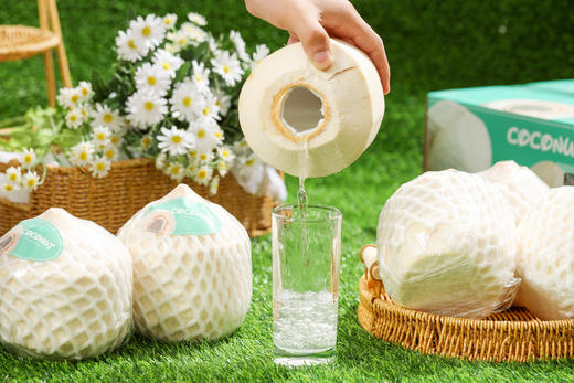 泰国椰青 商品图3