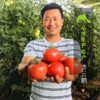 生态河南西红柿 | 合作生产*Eco- tomato | Coprodution 商品缩略图2