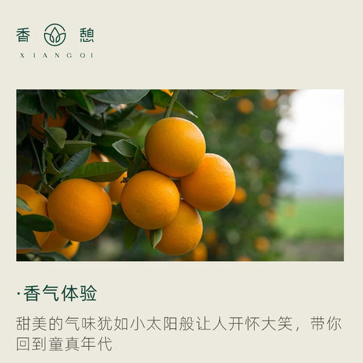 「课程·单方油」XIANGQI香憩︱甜橙精油 5ml/瓶 商品图1