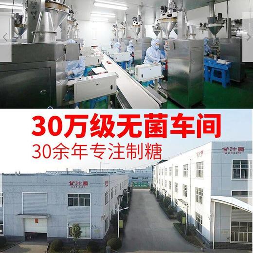 甘汁园   木糖醇320g 商品图4