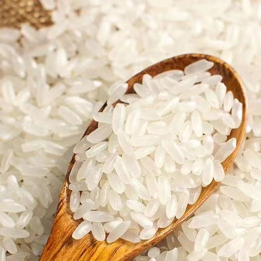 盛京饷当当稻花香食堂专用大米 25KG 商品图1
